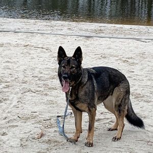 Meet your Posher, Anne